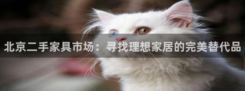 龙八国际有没有假