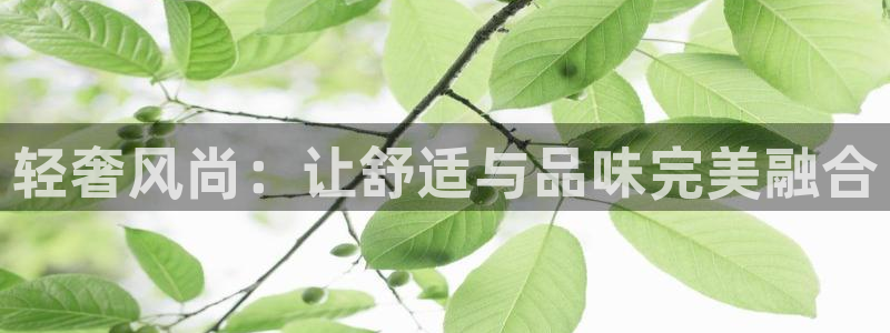 龙八国际 官网