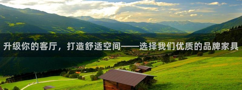 龙八国际服