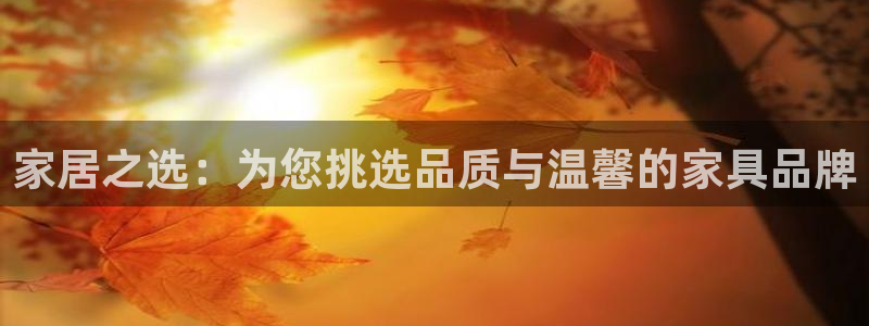 龙八国际股票
