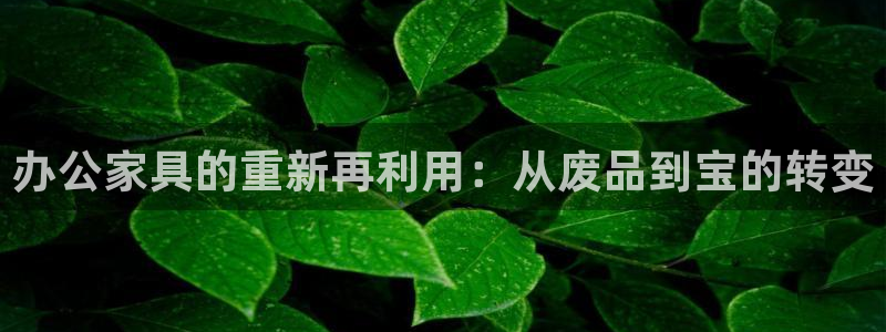 龙八国际网址是什么