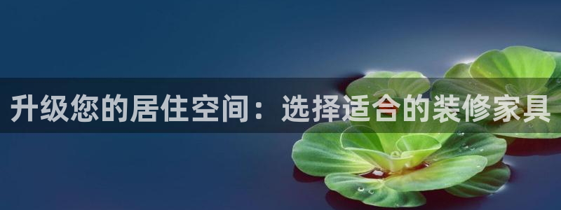 龙八国际app