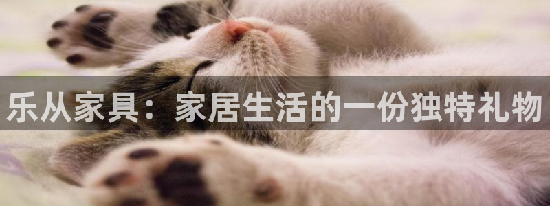 龙八国际娱乐手机登录