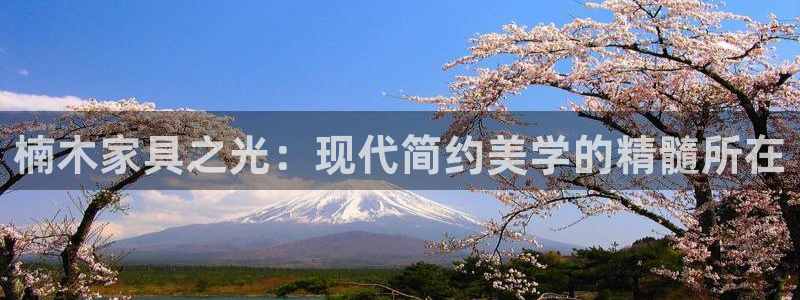 龙八国际娱乐客服