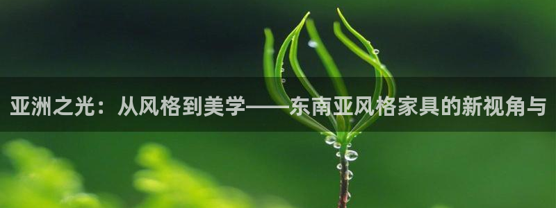 龙八国际app电话