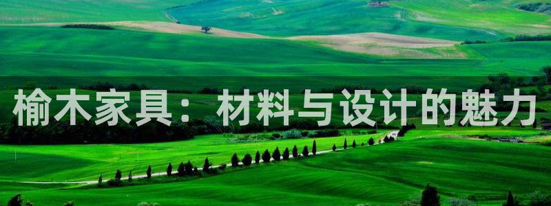 龙八国际网址是多少