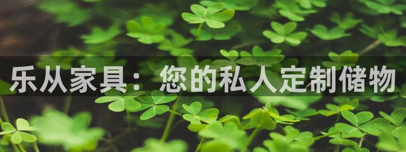 石家庄龙八国际老板是谁