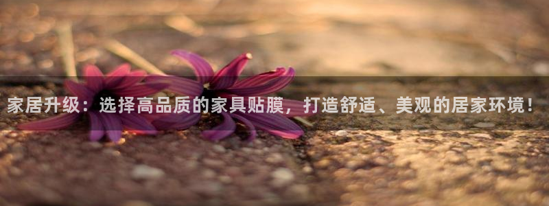 龙八国际在哪里啊