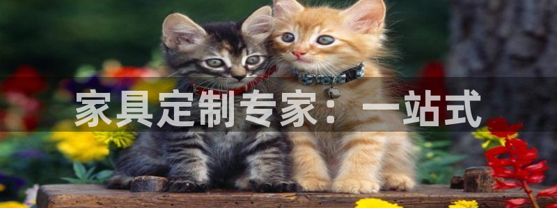 龙八国际什么诈骗