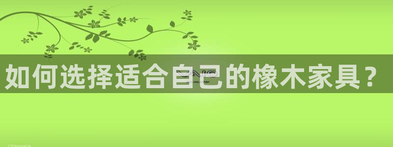 龙八国际服官网