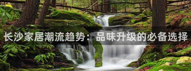 龙八国际是个什么游戏