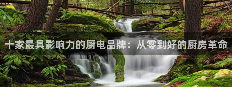 龙八国际版游戏