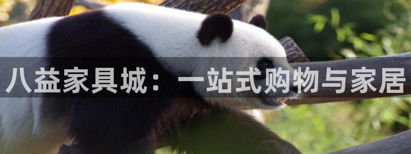 龙八国际娱乐 pt