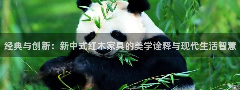 下载龙八国际大片