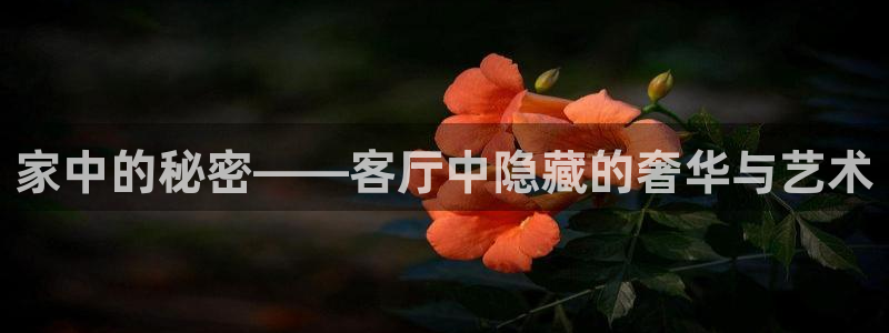 龙八国际app下载安卓