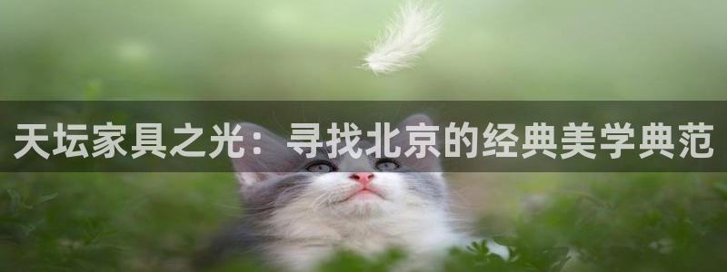 龙八国际官网安卓