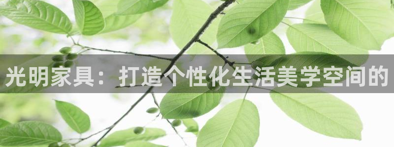 龙八国际pt老虎机官网
