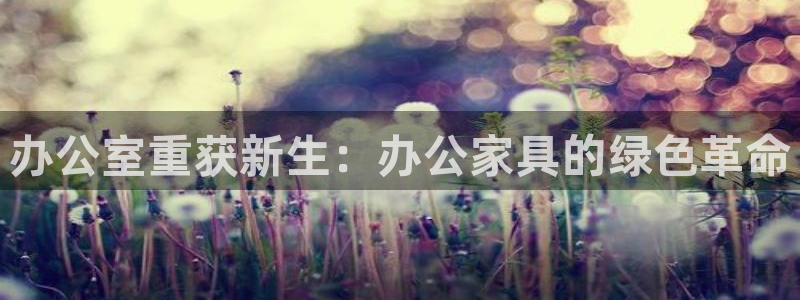 龙八国际手机版官网平台