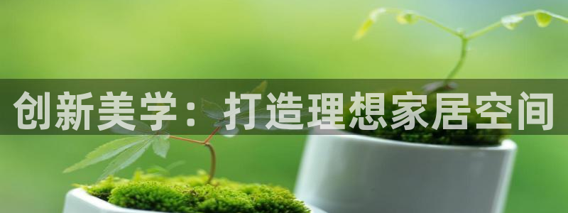 龙八国际娱乐老虎机