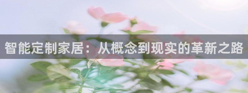 龙八国际是干什么的