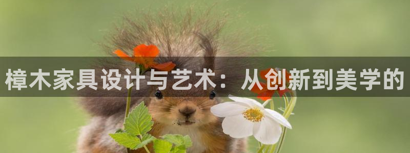 龙八国际app首页