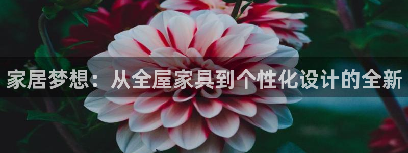 龙八国际app下载