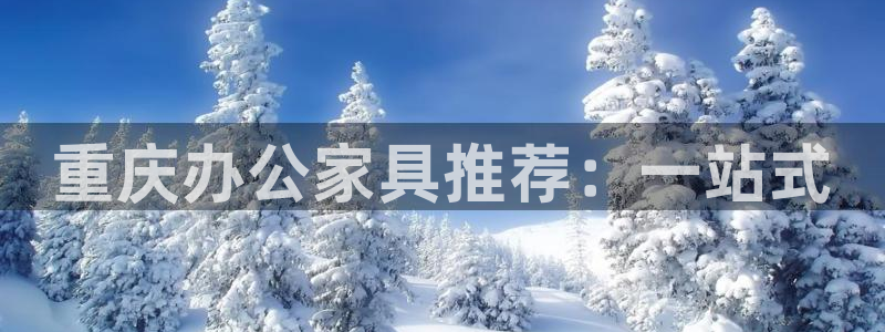 龙八国际娱乐 pt