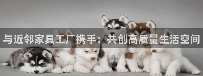 龙八国际在线网址