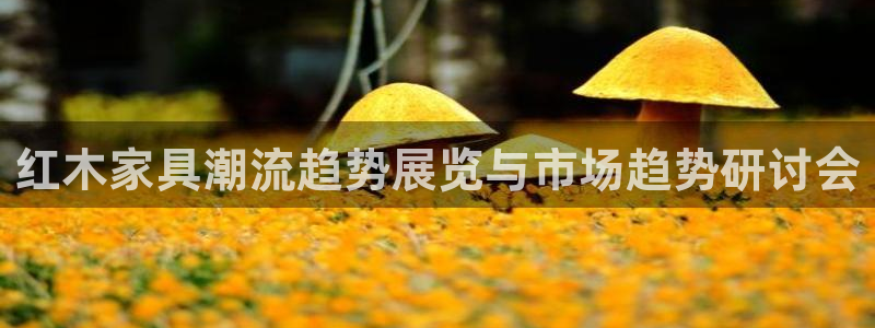 龙八国际客户端下载