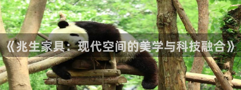 龙八国际娱乐游戏