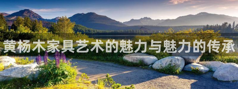 龙八国际头号玩家：黄杨木家具艺术的魅力与魅力的传承